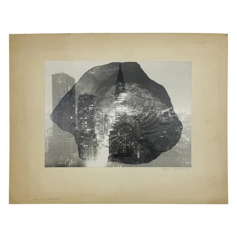 Barbara Morgan, NYC - Fossil Photomontage from auction in Spring Valley, New York — image 23