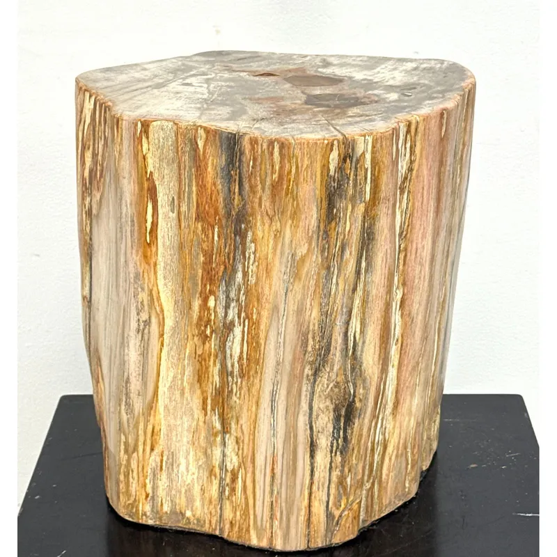 Heavy Polished Petrified Wood Side Table Stool. Translucent Agate Inclusions and Natural Graining from auction in Upper Chichester, Pennsylvania — image 45