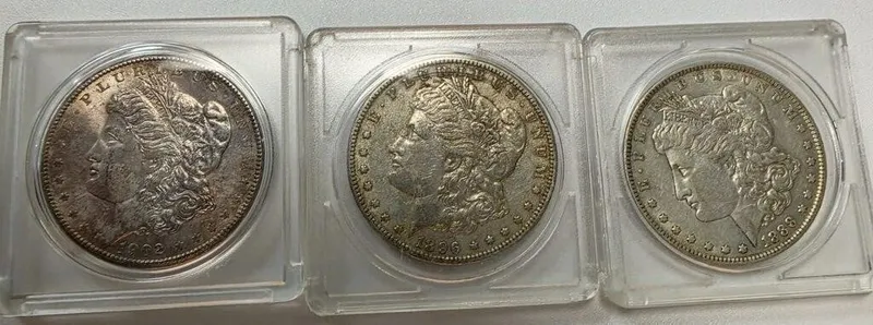 (3) Morgan Silver Dollars from auction in Carmel, Indiana — image 36