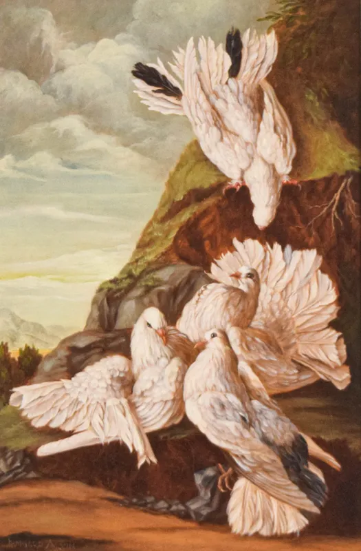 Irmgard Arvin Oil on Canvas White Doves from auction in Lincoln Park, New Jersey — image 6