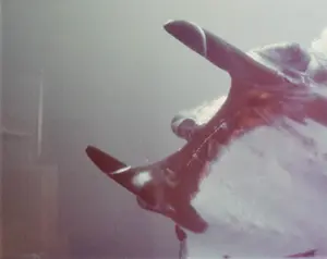 Peter Benchley Diving with Manta Ray, Chromogenic Print