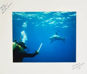 Scott Ransom Chromogenic Print Peter Benchley Diving with Shark