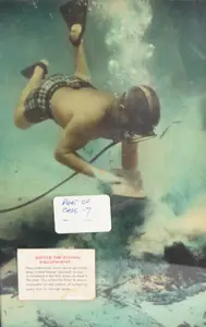 Vintage Scuba Diving Educational Display Panel