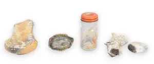 Assortment of Archaeological and Geological Specimens