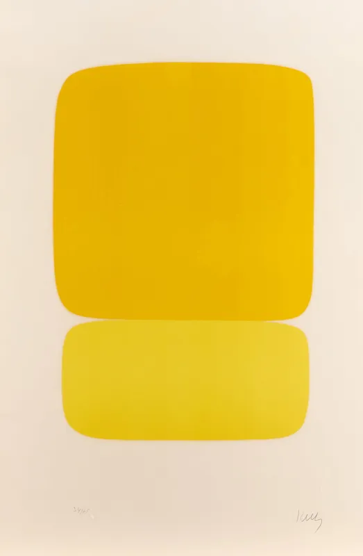 Ellsworth Kelly "Jaune sur Jaune" Lithograph 1964 from auction in St. Paul, Minnesota — image 24