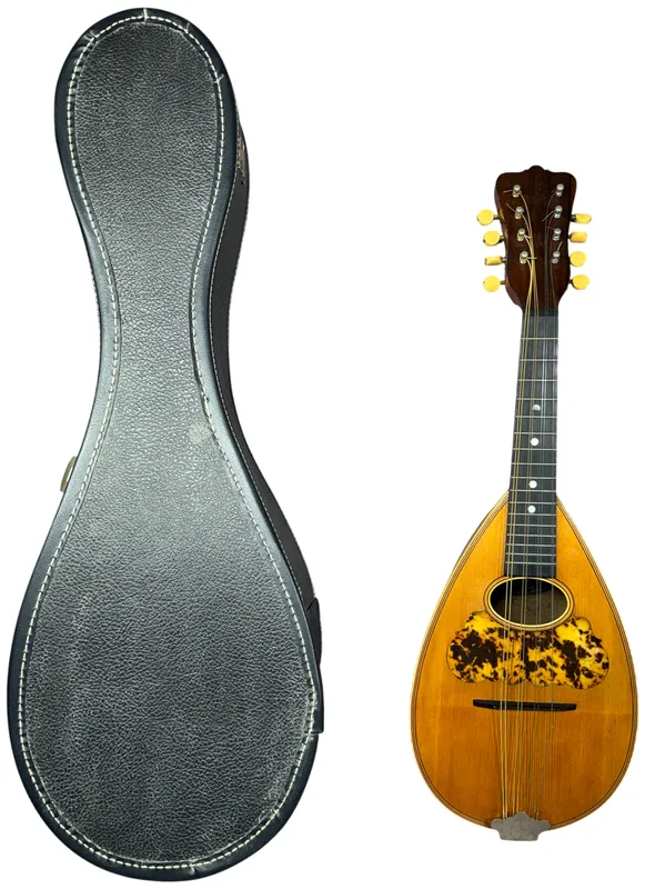 Washburn Bowl-Back Mandolin and Hard Shell Case with Accessories from auction in Lancaster, Ohio — image 14