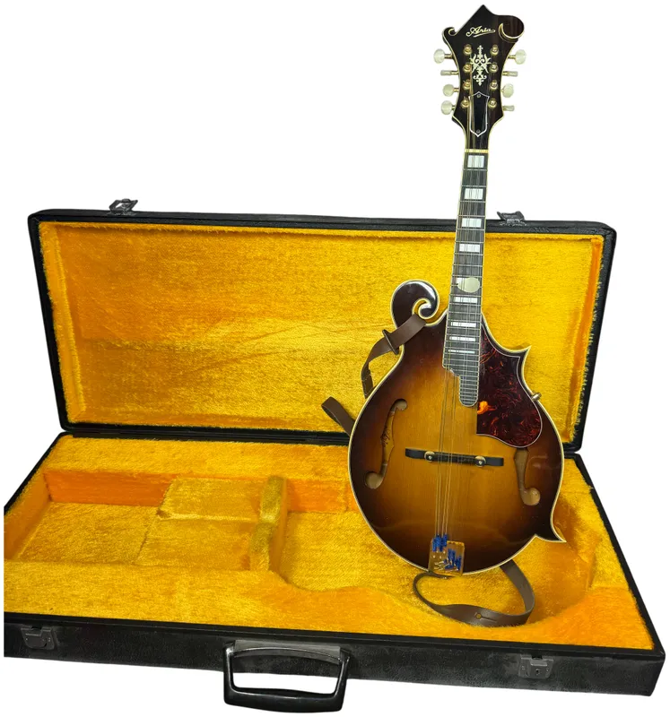Aria Model AM700C F-Style Acoustic Mandolin Made in Japan from auction in Lancaster, Ohio — image 19