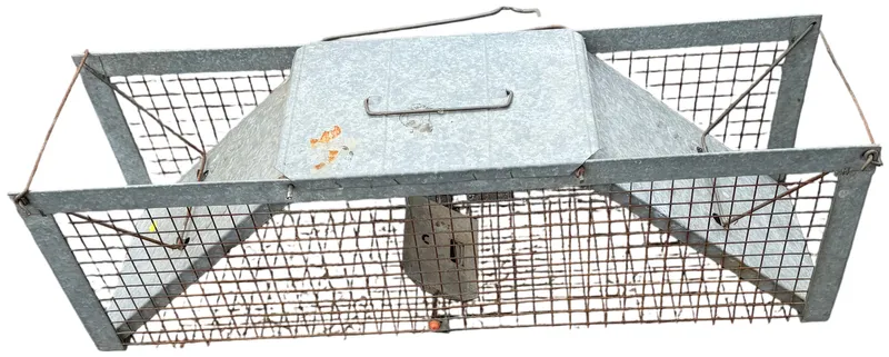 A Vintage Galvanized Steel Multi-Catch Live Animal Trap from auction in Lancaster, Ohio — image 40