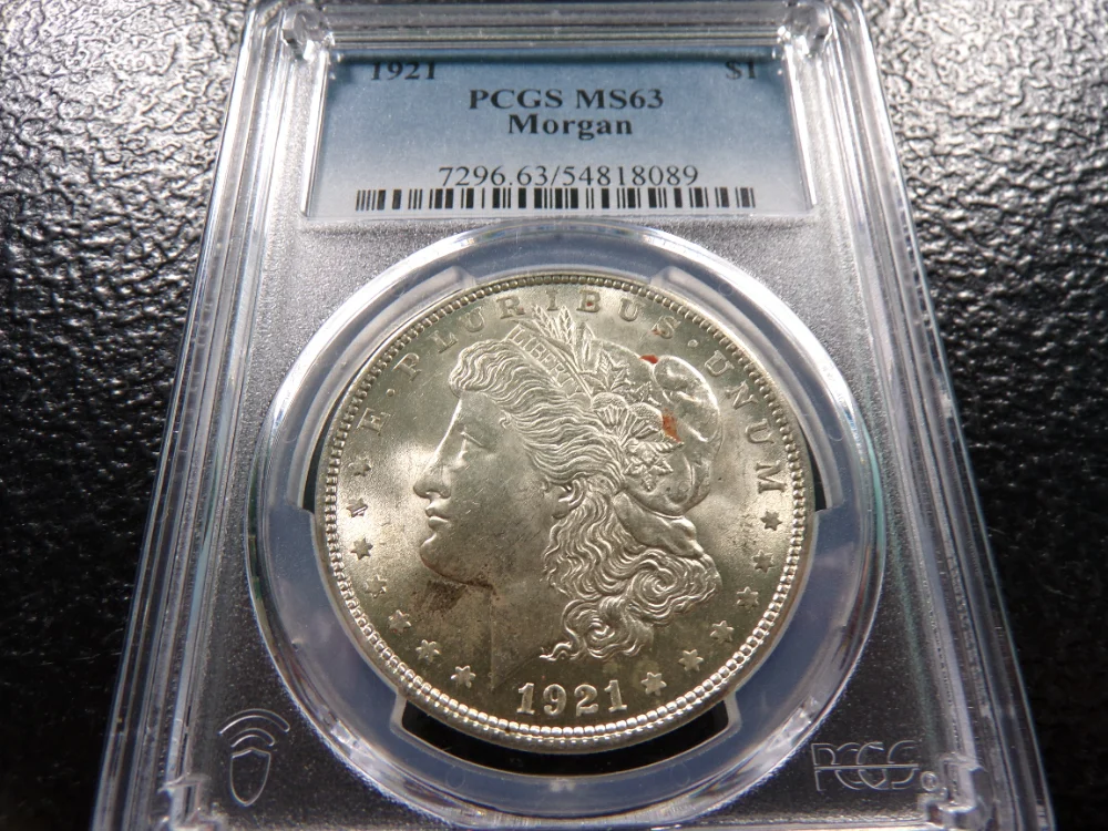 Big Dog Coin Auction — image 1