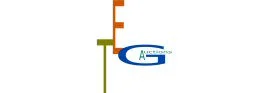 TEG Auctions logo