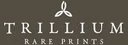 Trillium logo